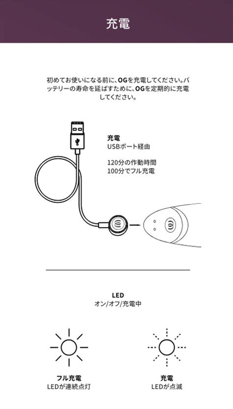 ウーマナイザーOGの使い方（手入れ・充電・ボタン。